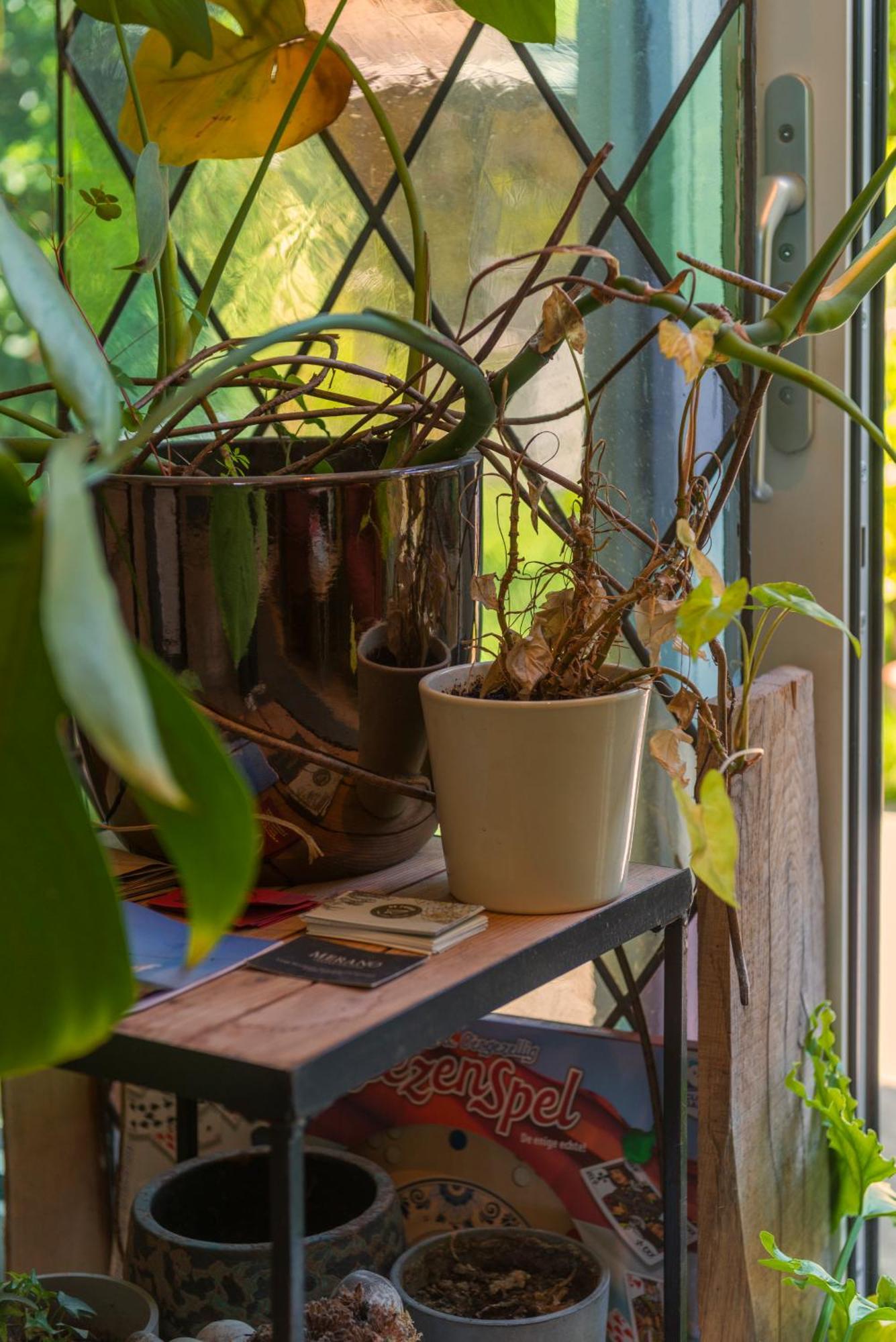 Tiny House - Leenfietsen, Eigen Keuken En Badkamer Nijmegen Eksteriør billede